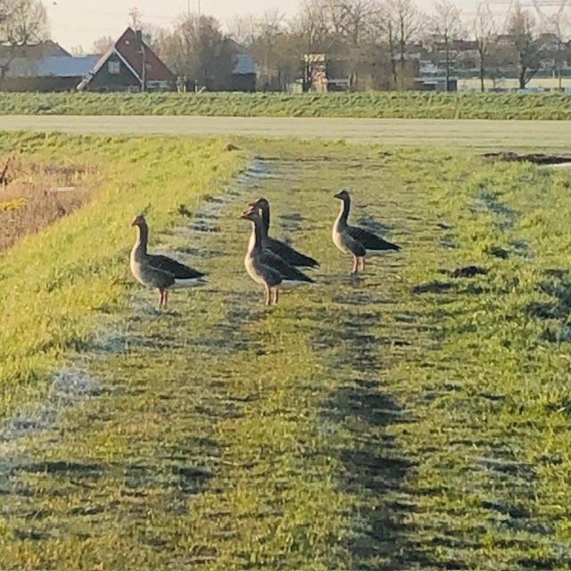 Ingeborgh Art Gastenverblijf Grootschermer Luaran gambar