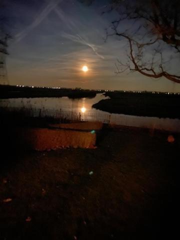 Ingeborgh Art Gastenverblijf Grootschermer Luaran gambar